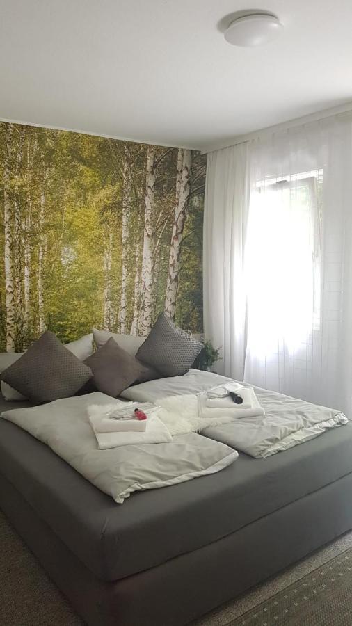 Pension Villa Pangea Bad Lauterberg Extérieur photo
