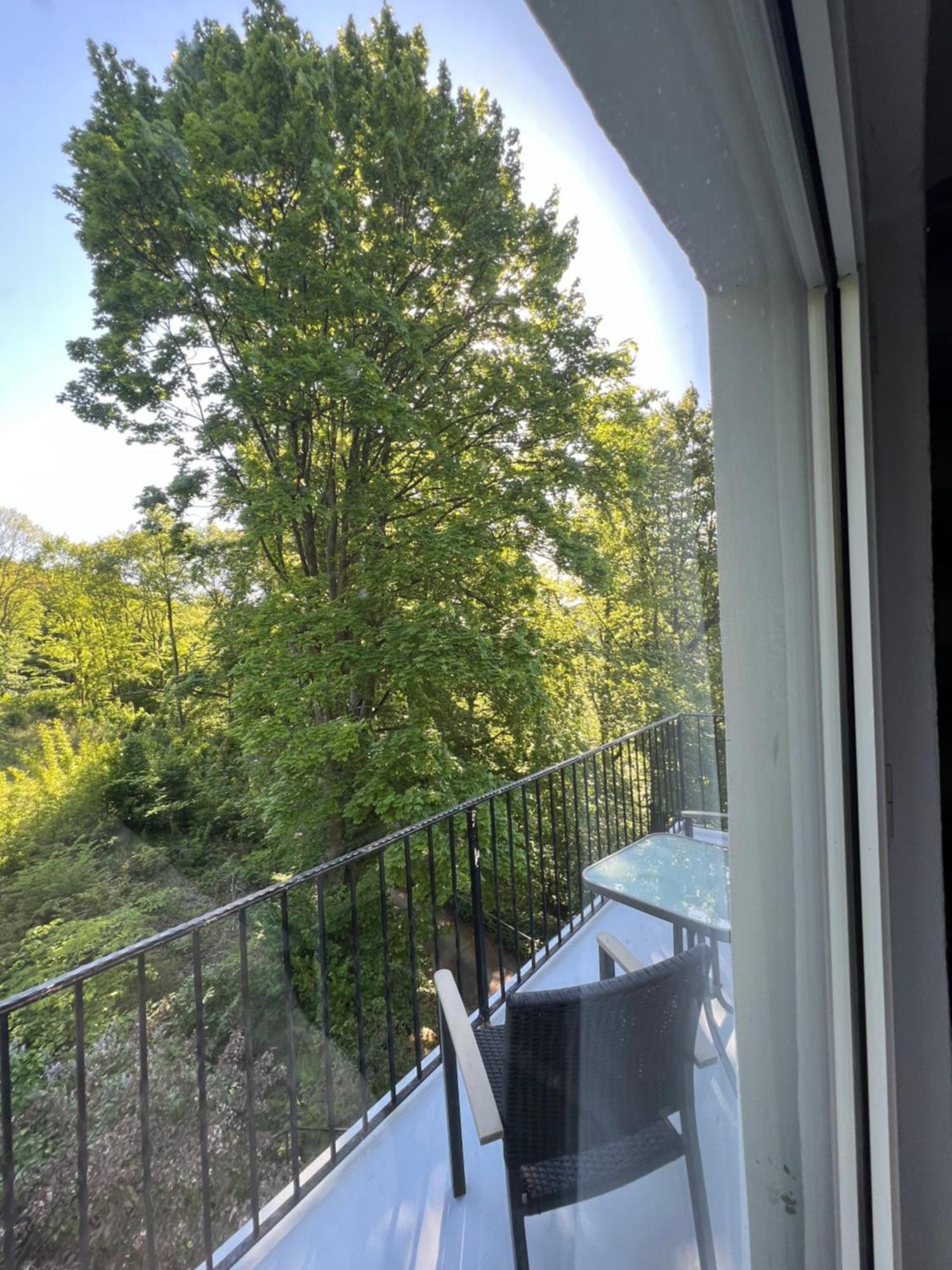 Pension Villa Pangea Bad Lauterberg Extérieur photo